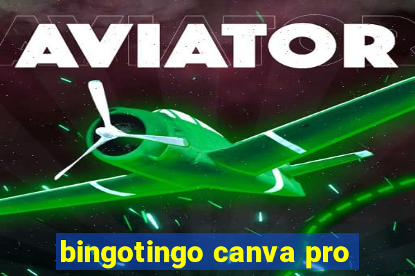 bingotingo canva pro